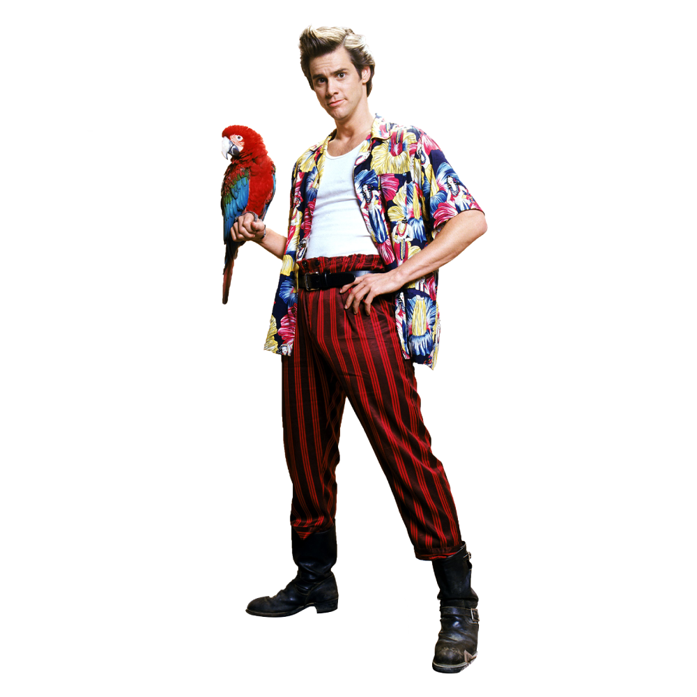 Ace Ventura  Play game online!